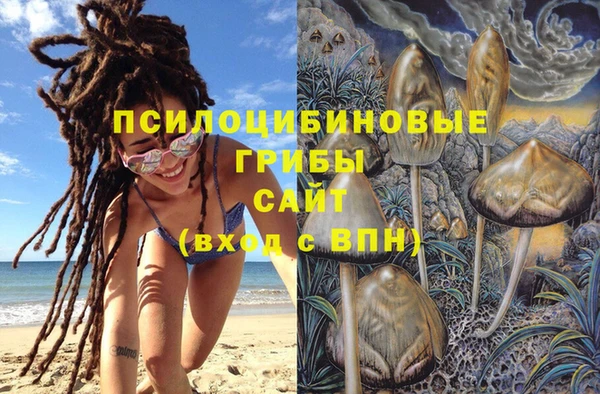 дмт Михайловск