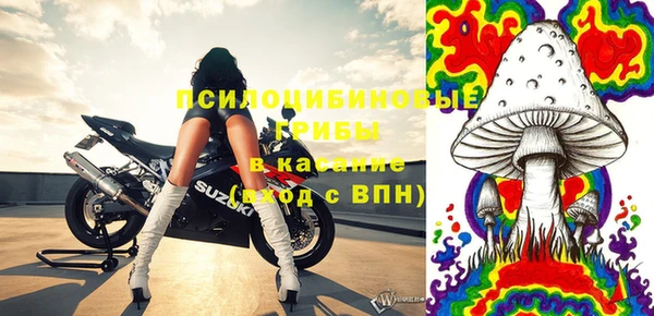 дмт Михайловск