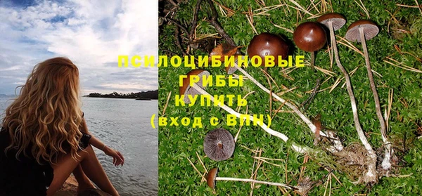 дмт Михайловск